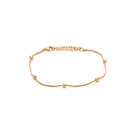 42S-AN002G 42S-AN002G